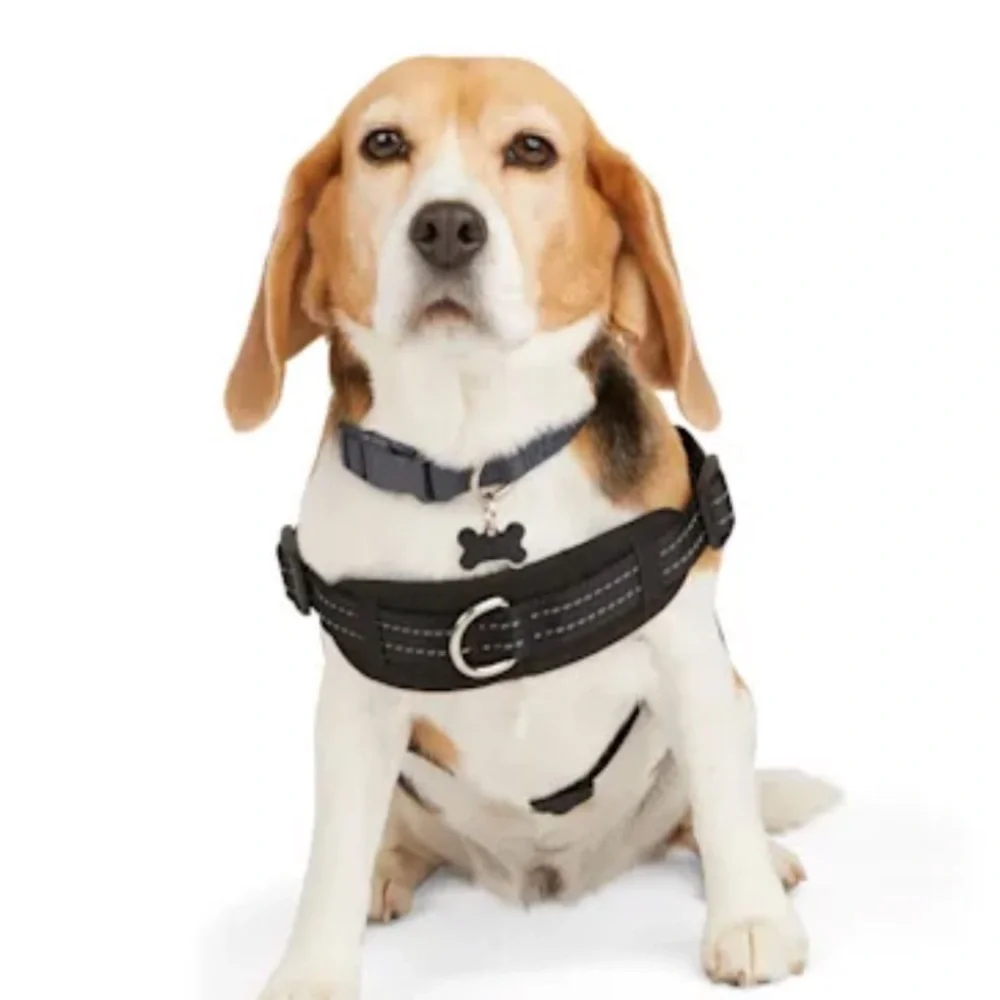 NWT easy on training harness XS